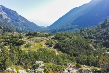 Amazing Summer landscape of Pirin Mountain near Banderitsa River, Bulgaria clipart