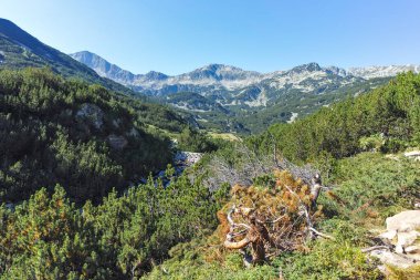 Amazing Summer landscape of Pirin Mountain near Banderitsa River, Bulgaria