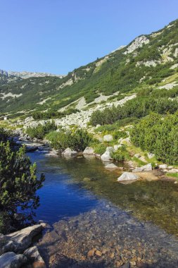 Amazing Summer landscape of Pirin Mountain near Banderitsa River, Bulgaria