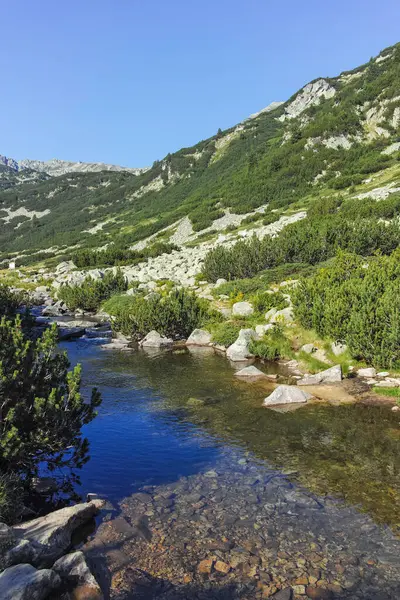 Amazing Summer landscape of Pirin Mountain near Banderitsa River, Bulgaria