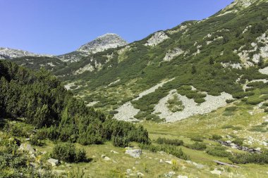 Amazing Summer landscape of Pirin Mountain near Banderitsa River, Bulgaria