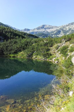 Amazing Summer landscape of Pirin Mountain near Banderitsa River, Bulgaria