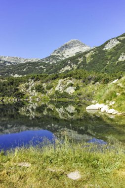 Amazing Summer landscape of Pirin Mountain near Banderitsa River, Bulgaria