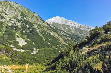 Amazing Summer landscape of Pirin Mountain near Banderitsa River, Bulgaria