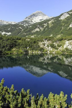 Amazing Summer landscape of Pirin Mountain near Banderitsa River, Bulgaria clipart