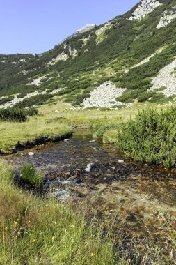 Amazing Summer landscape of Pirin Mountain near Banderitsa River, Bulgaria
