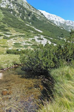 Amazing Summer landscape of Pirin Mountain near Banderitsa River, Bulgaria