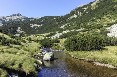 Amazing Summer landscape of Pirin Mountain near Banderitsa River, Bulgaria