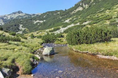 Amazing Summer landscape of Pirin Mountain near Banderitsa River, Bulgaria