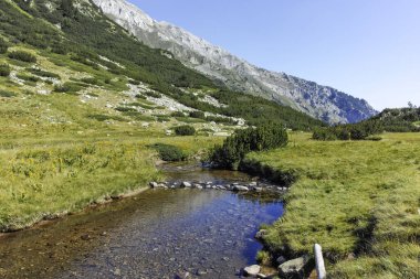 Amazing Summer landscape of Pirin Mountain near Banderitsa River, Bulgaria