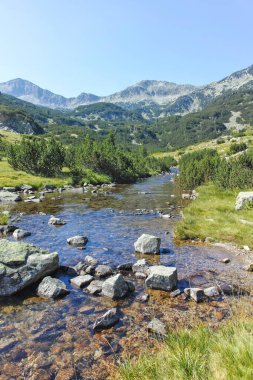 Amazing Summer landscape of Pirin Mountain near Banderitsa River, Bulgaria clipart