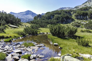 Amazing Summer landscape of Pirin Mountain near Banderitsa River, Bulgaria