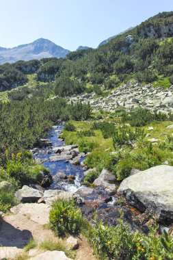Amazing Summer landscape of Pirin Mountain near Banderitsa River, Bulgaria