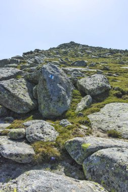 Bulgaristan 'ın Kalin zirvesi yakınlarındaki Rila Dağı' nın şaşırtıcı manzarası