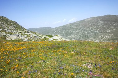Bulgaristan 'ın Kalin zirvesi yakınlarındaki Rila Dağı' nın şaşırtıcı manzarası