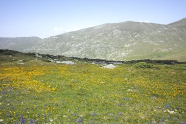Bulgaristan 'ın Kalin zirvesi yakınlarındaki Rila Dağı' nın şaşırtıcı manzarası