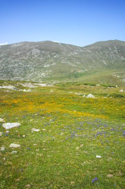 Bulgaristan 'ın Kalin zirvesi yakınlarındaki Rila Dağı' nın şaşırtıcı manzarası