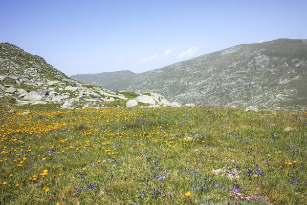 Bulgaristan 'ın Kalin zirvesi yakınlarındaki Rila Dağı' nın şaşırtıcı manzarası