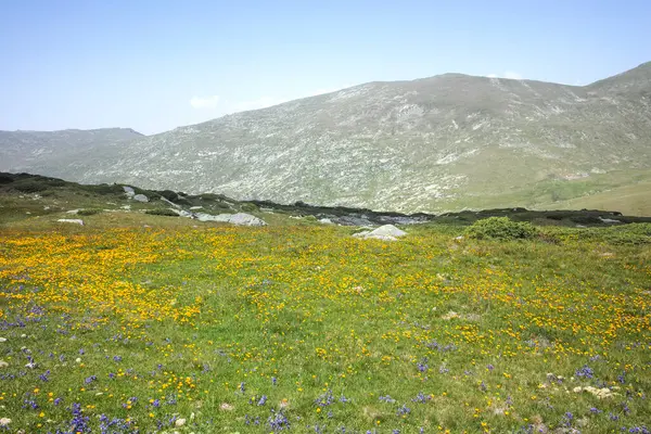 Bulgaristan 'ın Kalin zirvesi yakınlarındaki Rila Dağı' nın şaşırtıcı manzarası