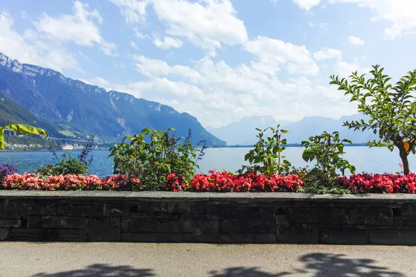 MONTREUX, SWitzERLAND - 19 Haziran 2023: Montreux, Vaud Kantonu, İsviçre Yaz Panoraması