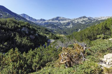 Bulgaristan 'ın Banderitsa Bölgesi yakınlarındaki Pirin Dağı' nın Şaşırtıcı Manzarası