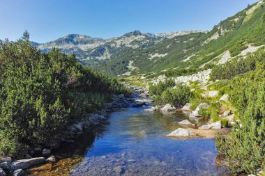 Bulgaristan 'ın Banderitsa Bölgesi yakınlarındaki Pirin Dağı' nın Şaşırtıcı Manzarası