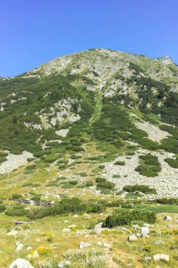 Bulgaristan 'ın Banderitsa Bölgesi yakınlarındaki Pirin Dağı' nın Şaşırtıcı Manzarası