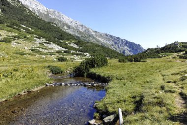 Bulgaristan 'ın Banderitsa Bölgesi yakınlarındaki Pirin Dağı' nın Şaşırtıcı Manzarası