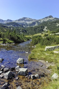 Bulgaristan 'ın Banderitsa Bölgesi yakınlarındaki Pirin Dağı' nın Şaşırtıcı Manzarası