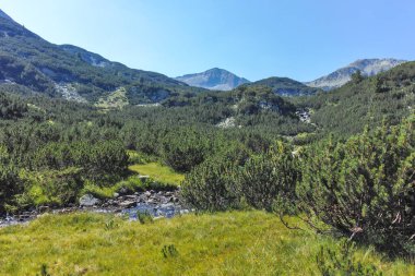 Bulgaristan 'ın Banderitsa Bölgesi yakınlarındaki Pirin Dağı' nın Şaşırtıcı Manzarası