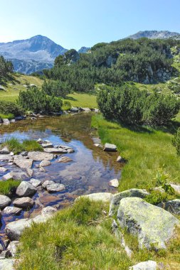 Bulgaristan 'ın Banderitsa Bölgesi yakınlarındaki Pirin Dağı' nın Şaşırtıcı Manzarası