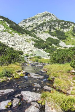 Bulgaristan 'ın Banderitsa Bölgesi yakınlarındaki Pirin Dağı' nın Şaşırtıcı Manzarası