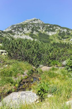 Bulgaristan 'ın Banderitsa Bölgesi yakınlarındaki Pirin Dağı' nın Şaşırtıcı Manzarası