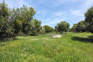Kastri Sahili yakınlarındaki Sithonia kıyı şeridi, Chalkidiki, Orta Makedonya, Yunanistan