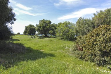 Kastri Sahili yakınlarındaki Sithonia kıyı şeridi, Chalkidiki, Orta Makedonya, Yunanistan