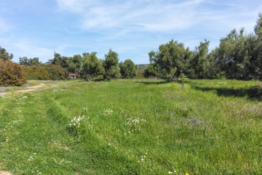 Kastri Sahili yakınlarındaki Sithonia kıyı şeridi, Chalkidiki, Orta Makedonya, Yunanistan