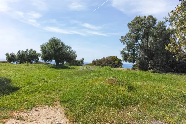 Kastri Sahili yakınlarındaki Sithonia kıyı şeridi, Chalkidiki, Orta Makedonya, Yunanistan