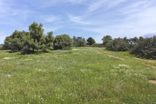Kastri Sahili yakınlarındaki Sithonia kıyı şeridi, Chalkidiki, Orta Makedonya, Yunanistan