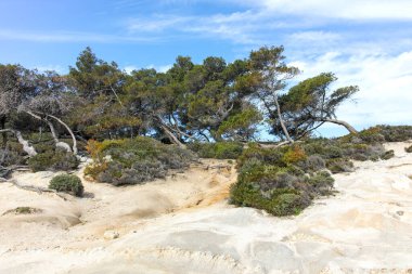 Orange Beach, Chalkidiki, Orta Makedonya ve Yunanistan yakınlarındaki Sithonia kıyı şeridinin inanılmaz manzarası