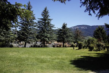 Yunanistan 'ın Epirus Bölgesi' nin Ioannina kenti yakınlarındaki Metsovo köyünün yaylı manzarası