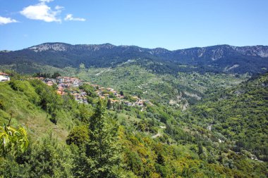 Yunanistan 'ın Epirus Bölgesi' nin Ioannina kenti yakınlarındaki Metsovo köyünün yaylı manzarası