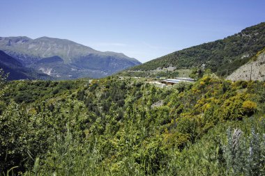 Yunanistan 'ın Epirus Bölgesi' nin Ioannina kenti yakınlarındaki Metsovo köyünün yaylı manzarası