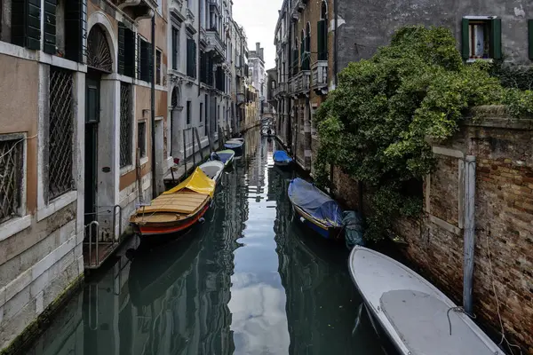 Venedik, Veneto Bölgesi, İtalya 'nın Eski Şehir Panoraması