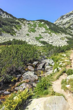 Bulgaristan 'ın Banderitsa Bölgesi yakınlarındaki Pirin Dağı' nın Şaşırtıcı Manzarası