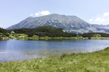 Bulgaristan 'ın Banderitsa Bölgesi yakınlarındaki Pirin Dağı' nın Şaşırtıcı Manzarası