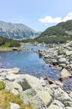 Bulgaristan 'ın Banderitsa Bölgesi yakınlarındaki Pirin Dağı' nın Şaşırtıcı Manzarası