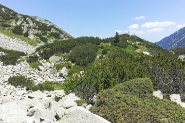 Bulgaristan 'ın Banderitsa Bölgesi yakınlarındaki Pirin Dağı' nın Şaşırtıcı Manzarası