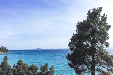 Koviou Sahili yakınlarındaki Sithonia kıyı şeridi, Chalkidiki, Orta Makedonya, Yunanistan