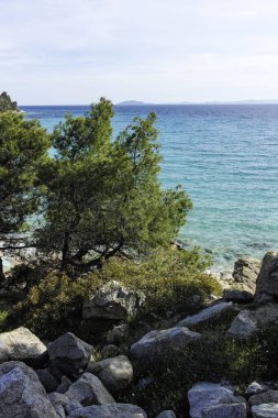 Koviou Sahili yakınlarındaki Sithonia kıyı şeridi, Chalkidiki, Orta Makedonya, Yunanistan