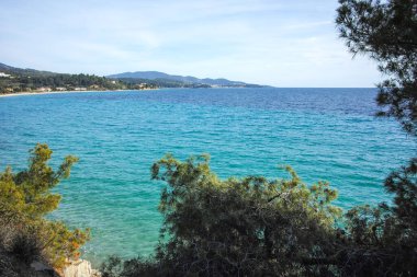 Azapiko Kuzey Sahili yakınlarındaki Sithonia kıyı şeridi, Chalkidiki, Orta Makedonya, Yunanistan